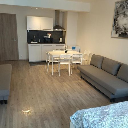 Brand New Studio Apartment #24 In Elite Residence With Free Secure Parking In The Center Praha Eksteriør bilde